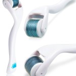 titanium vs stainless steel derma roller