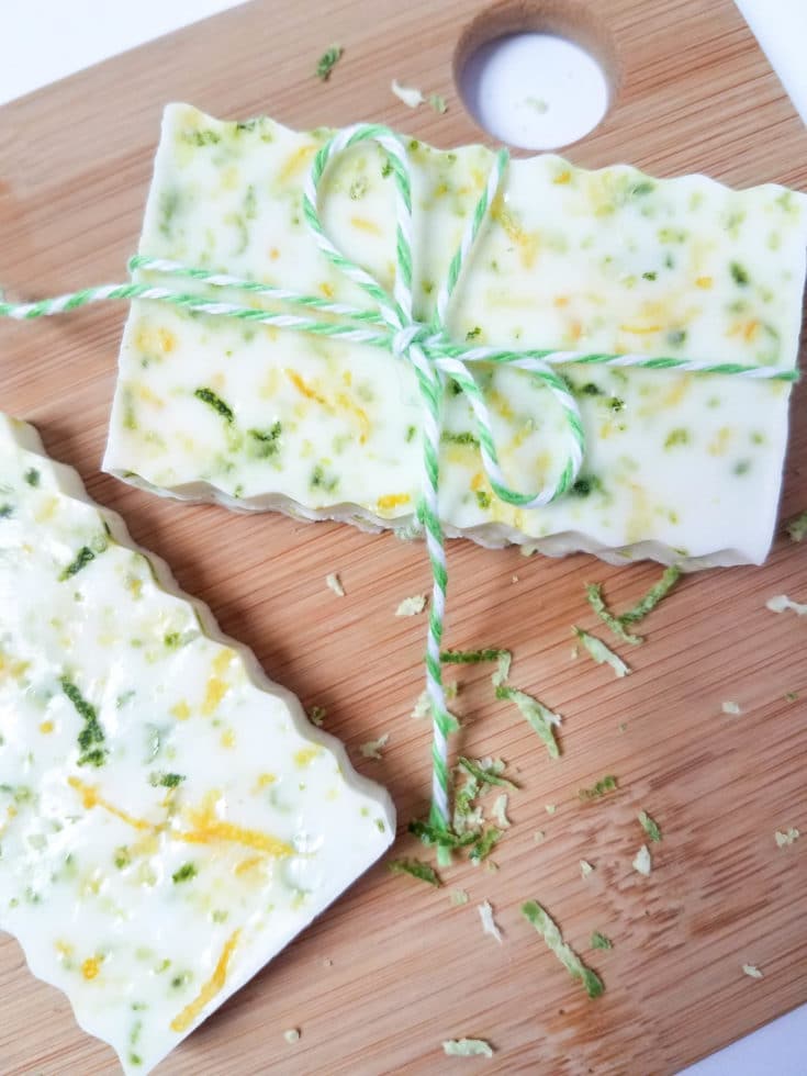 This homemade lemon and lime soap is a fun and easy DIY project for Spring. 
